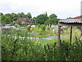 Armour Hill Allotments in RG31 6LE