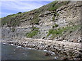 Cliff face west of Bran Point in DT3 6HJ