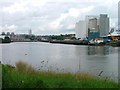 View up the Tyne with Flour Mills on the North Bank (right) and Salt Meadows on the South in NE8 3AF
