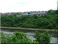 New Housing Overlooking the Tyne in NE6 3RU