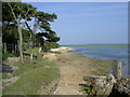 Tanners Lake and shore, New Forest in SO41 5SP