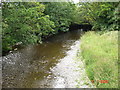River Elwy - north of St. Asaph in LL17 0HT