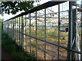 Derelict glasshouses NW of Dawlish in EX7 0QY