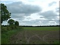 Field near Neatishead in NR12 8XN