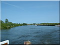 Norfolk Broads, near Horning in NR12 8RR