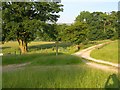Pathway running through Cotefield Farm in S33 7ZB