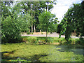 Pond, Ashwells Road, Crow Green, Brentwood, Essex in CM15 9SG