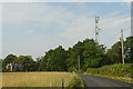 Telecoms mast, South Lodge, Pease Pottage, West Sussex in RH11 9AG