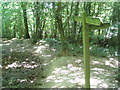 Sussex Border Path in Sandpits Wood in RH17 7DY