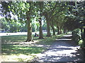 Lillie Road Recreation Ground, Fulham. in W6 9RH