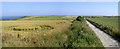 Crop roundabout alongside the track to St Aldhelm's Head, Isle of Purbeck in BH19 3LN