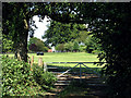 Farm Gate: North Echinnswell in RG20 4UP