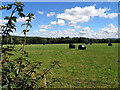 Wrapped Hay near Bishop's Green in RG20 4JP