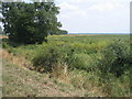 Burwell Farm Fen in CB7 5YQ
