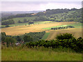 Eastern slopes of Summer Hill, Combe in RG17 9EL