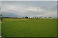 Farm land near Burtonwood. in Burtonwood & Winwick Ward