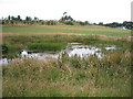 Pond at Birney Knowe in FK10 3QA