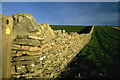 Dry stone wall near Fleet village in Fleet