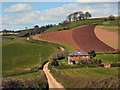 Bidwell Cross and the road to Bickleigh in EX5 5DN