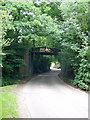 Wangfield Lane Railway Bridge in SO32 2SX