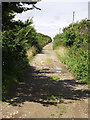 Green lane from Callestock Veor to Pendown in TR4 9LT