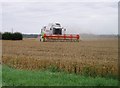 Harvesting wheat near Horningsea in CB25 9JG
