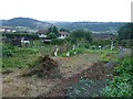 Allotments off Barnards Hill Lane in EX12 2JA