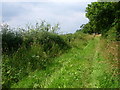 Bridle Path, Blofield in NR13 4RE