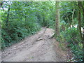 Timbercombe Bridleway in GL53 8DZ