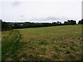 Field and hills from Little Herberts, Charlton Kings in GL53 8PA