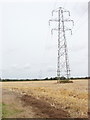 Pylons cross a corn field, by Longwick in HP27 9QP