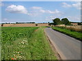 Unfenced Road between Strumpshaw and Cantley in NR13 4BG
