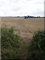 Footpath and fields, Rackheath in NR13 6NN