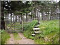 Stile in Glen Banvie Wood in PH18 5UA