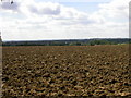 Freshly Ploughed Field in MK41 0JJ
