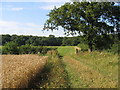 Footpath towards Wappenbury Wood in CV23 9PZ