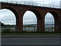 Montrose Basin in DD10 9SS