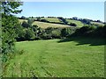 Field near Beenleigh - Harbertonford in TQ9 7EF