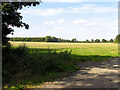 Farmland near Chievely in RG18 9XZ