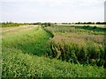 Car Dyke at Waterbeach in CB25 9NJ