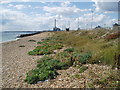 Beach at Shoreham Harbour in BN4 1PX