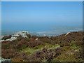 View to Newport Pembs from Carn Ingli on the Preselis in Newport Community