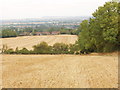 Cornfields above Bledlow and the Plain of Aylesbury in OX39 4AB