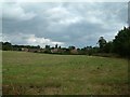 Looking East across the Fields in RG4 9HS