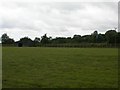 Field adjacent to the A31 in GU34 2TQ