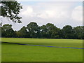 Rugby-Polo Fields in CV22 5EP