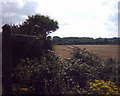Farmland crossed by footpath near Yelland in EX31 3FF