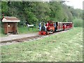 Steam train on Perrygrove Railway in GL16 8RA