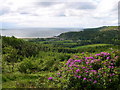 Waterfoot, Carradale from the approaches to Deer Hill in PA28 6QG