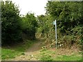 Public Bridleway near Benllech in Llanfair-Mathafarn-Eithaf Community